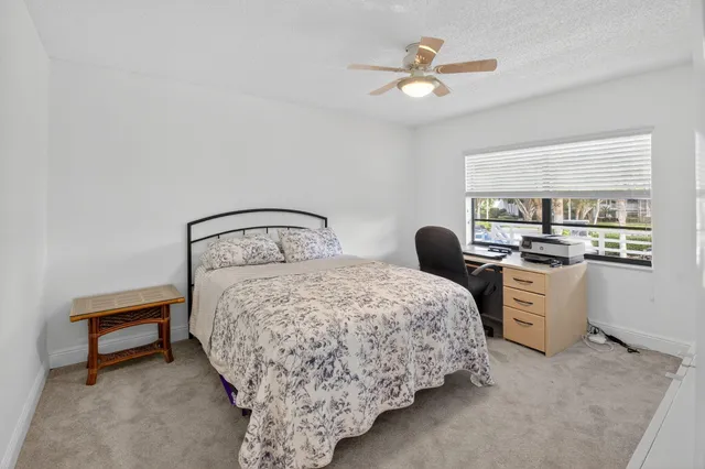 a living room with furniture a window and a potted plant