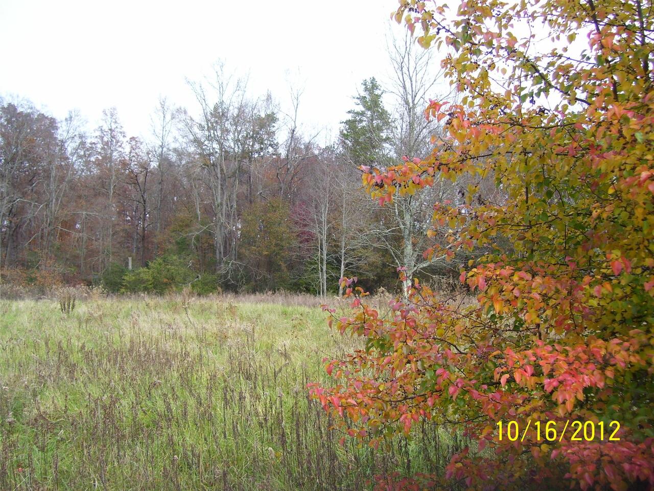 0 Old Winder Jefferson Road Jefferson, GA 30549 - Photo 1 of 1 a view of a yard with large trees