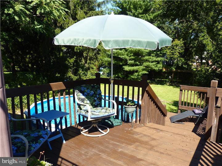 230 President Avenue Rutledge, PA 19070 - Photo 15 of 25 Deck