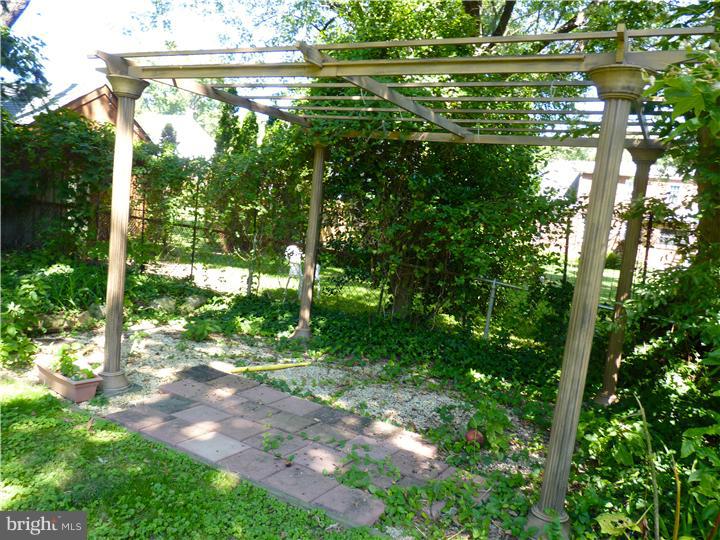 230 President Avenue Rutledge, PA 19070 - Photo 19 of 25 Back Yard