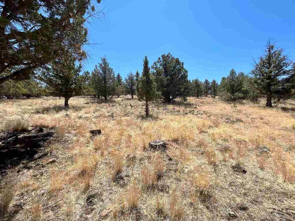 Unit 5-2 Lot 48 Browndeer Road Weed, CA 96094 - Photo 5 of 7 Gallery Image 5