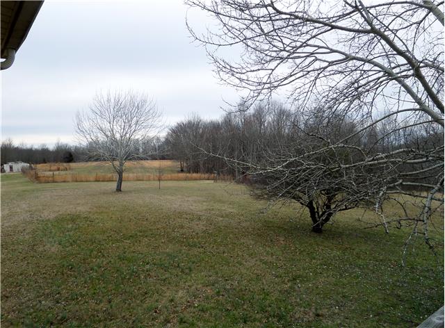 1299 Charley Davis Road Goodspring, TN 38460 - Photo 15 of 20 View of the side field from the back deck