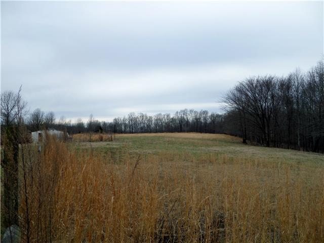 1299 Charley Davis Road Goodspring, TN 38460 - Photo 17 of 20 Fenced Pasture for Horses or Livestock