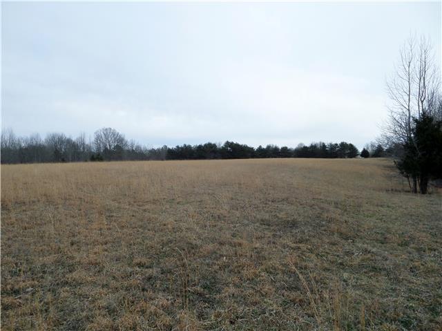 1299 Charley Davis Road Goodspring, TN 38460 - Photo 19 of 20 Large field to right of the home that is very deep