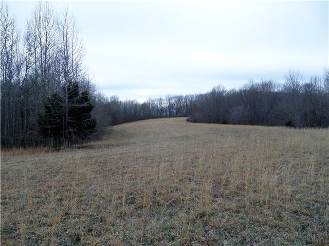 1299 Charley Davis Road Goodspring, TN 38460 - Photo 20 of 20 Another field at the very back of the property
