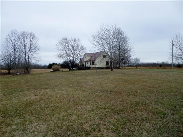 1299 Charley Davis Road Goodspring, TN 38460 - Photo 4 of 20 View of the back of the home from the back yard...wide open spaces!