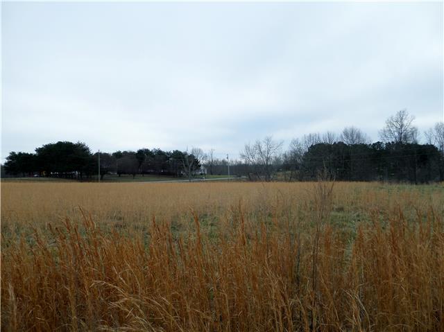 1299 Charley Davis Road Goodspring, TN 38460 - Photo 5 of 20 View of the front hay field as you enter the property