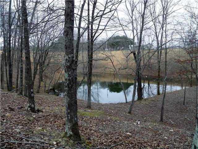1299 Charley Davis Road Goodspring, TN 38460 - Photo 6 of 20 Beautiful Pond in the front corner of the property!