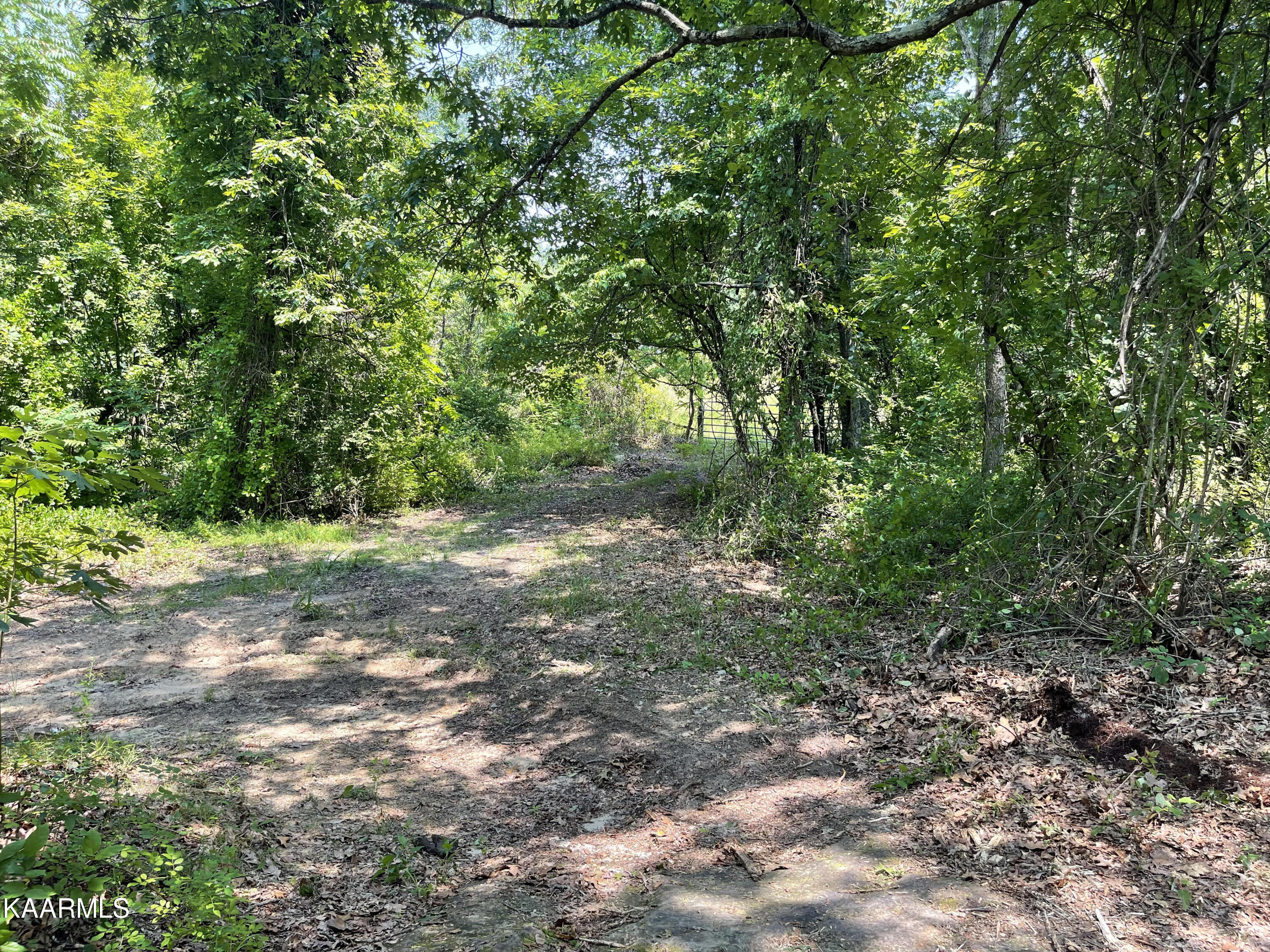 Plateau Firetower Road Crossville, TN 38571 - Photo 3 of 14 top toward gate