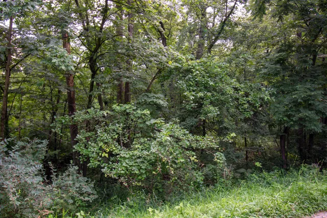 $345,000 | Lt15 Royal Glen Court, Geneva, WI 53147