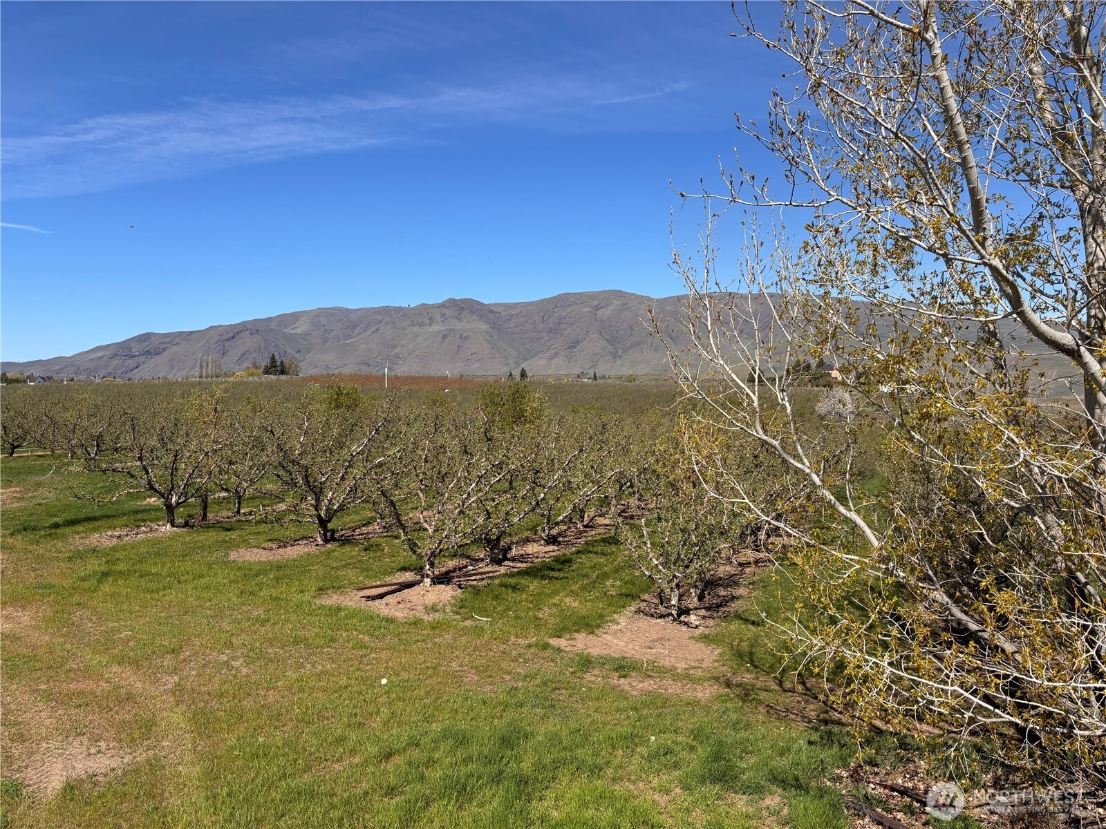 0 Rosenkranz Road Tieton, WA 98947 - Photo 4 of 5