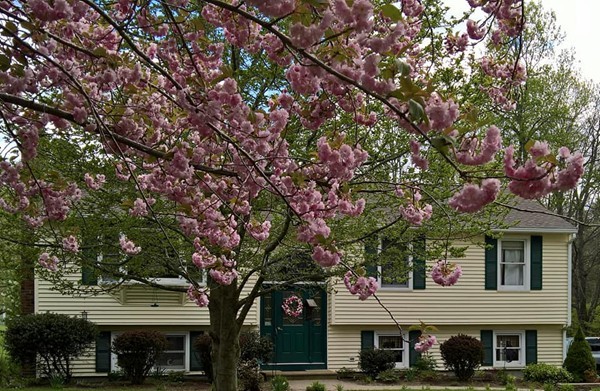 129 Old Worcester Road Charlton, MA 01507 - Photo 1 of 30 front view of a building with a tree