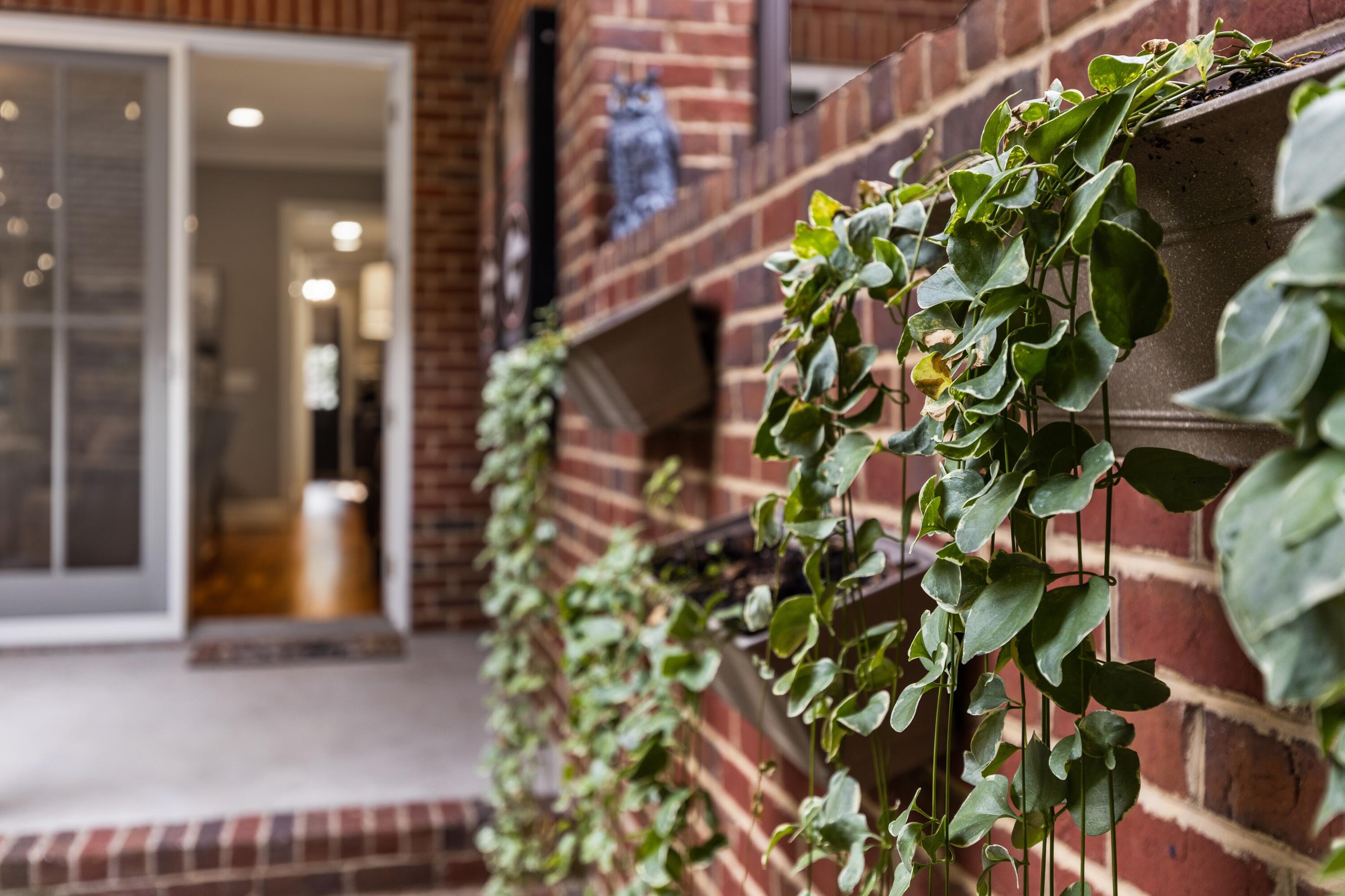 242 Cherry Street Chattanooga, TN 37403 - Photo 35 of 110 It's the Little Things...