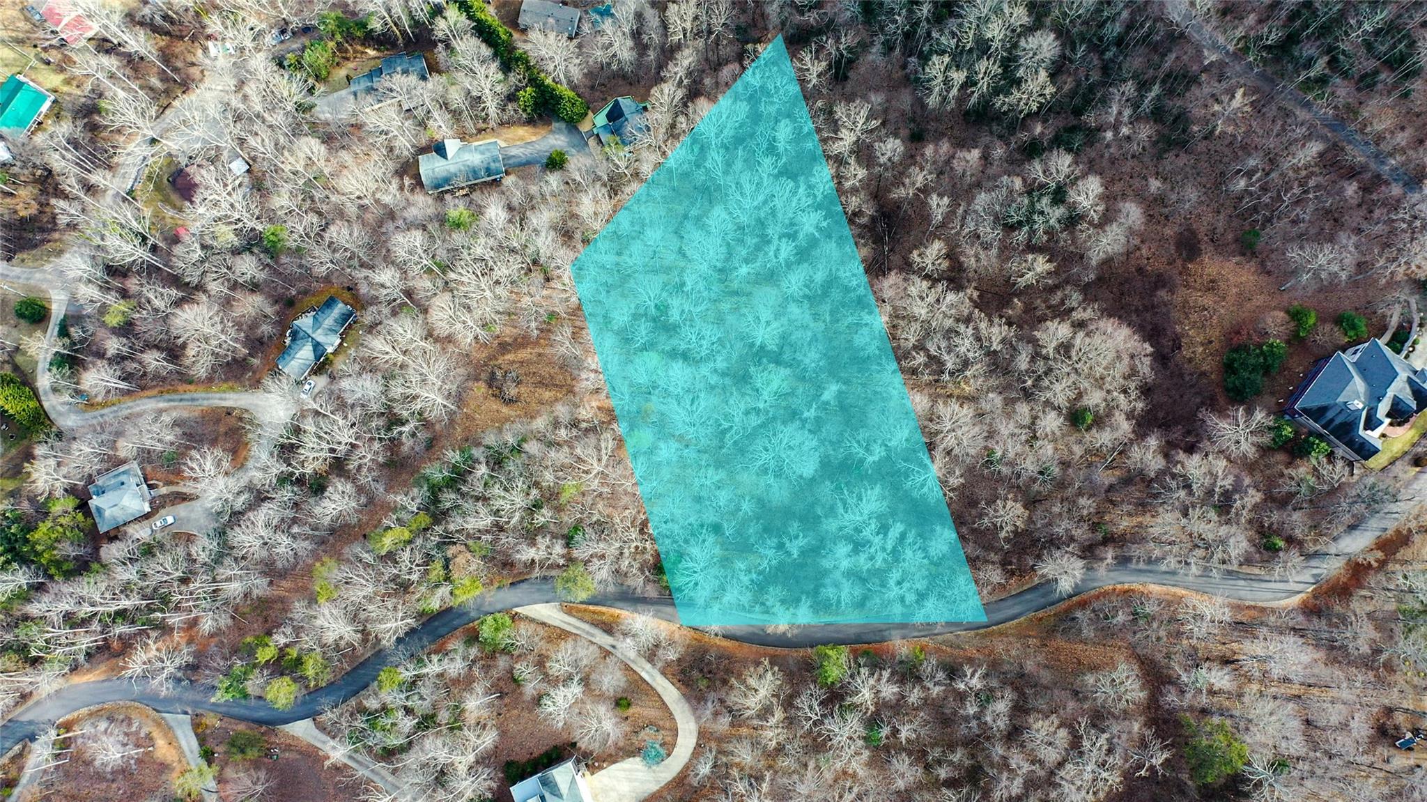 44 Hope View Road Swannanoa, NC 28778 - Photo 1 of 11 a view of a yard with plants