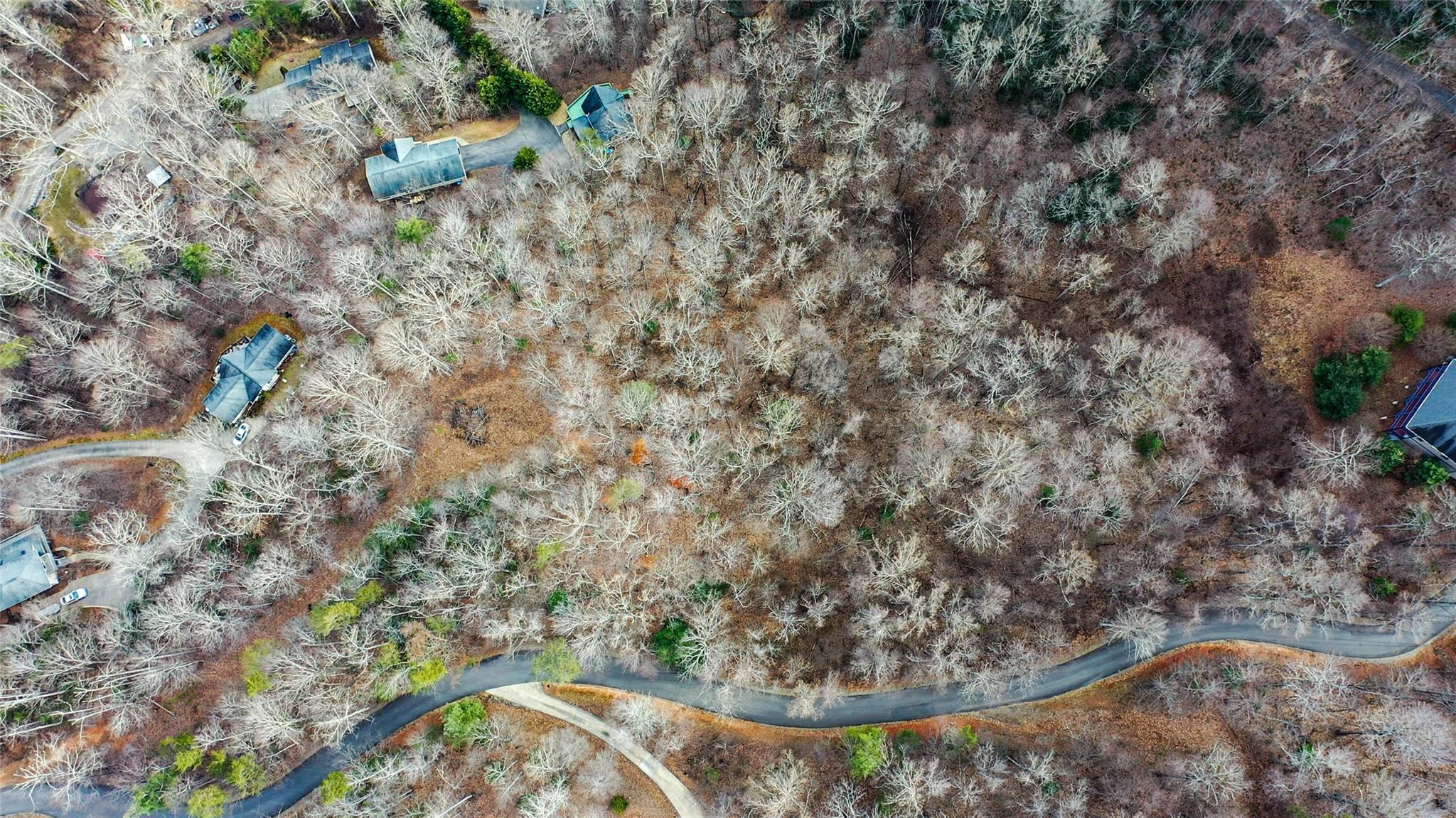 44 Hope View Road Swannanoa, NC 28778 - Photo 2 of 11 a view of a dry yard with lots of bushes