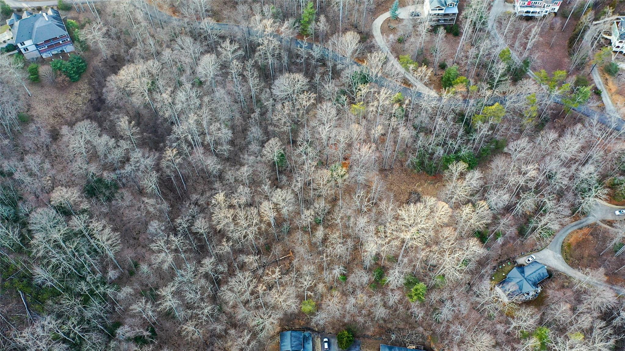 44 Hope View Road Swannanoa, NC 28778 - Photo 3 of 11 a backyard of a house with lots of plants and trees