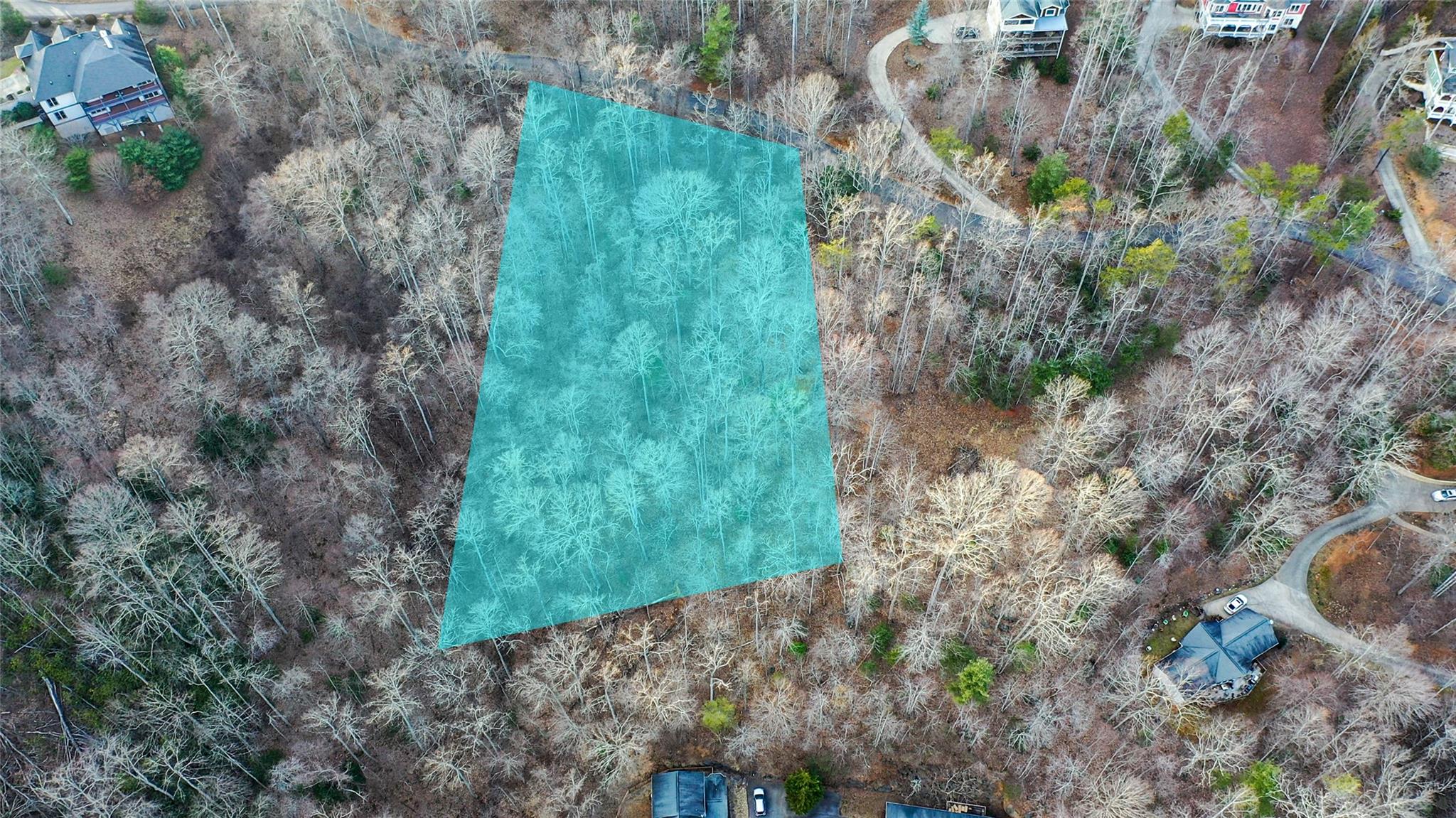 44 Hope View Road Swannanoa, NC 28778 - Photo 4 of 11 a view of a yard with plants and large trees