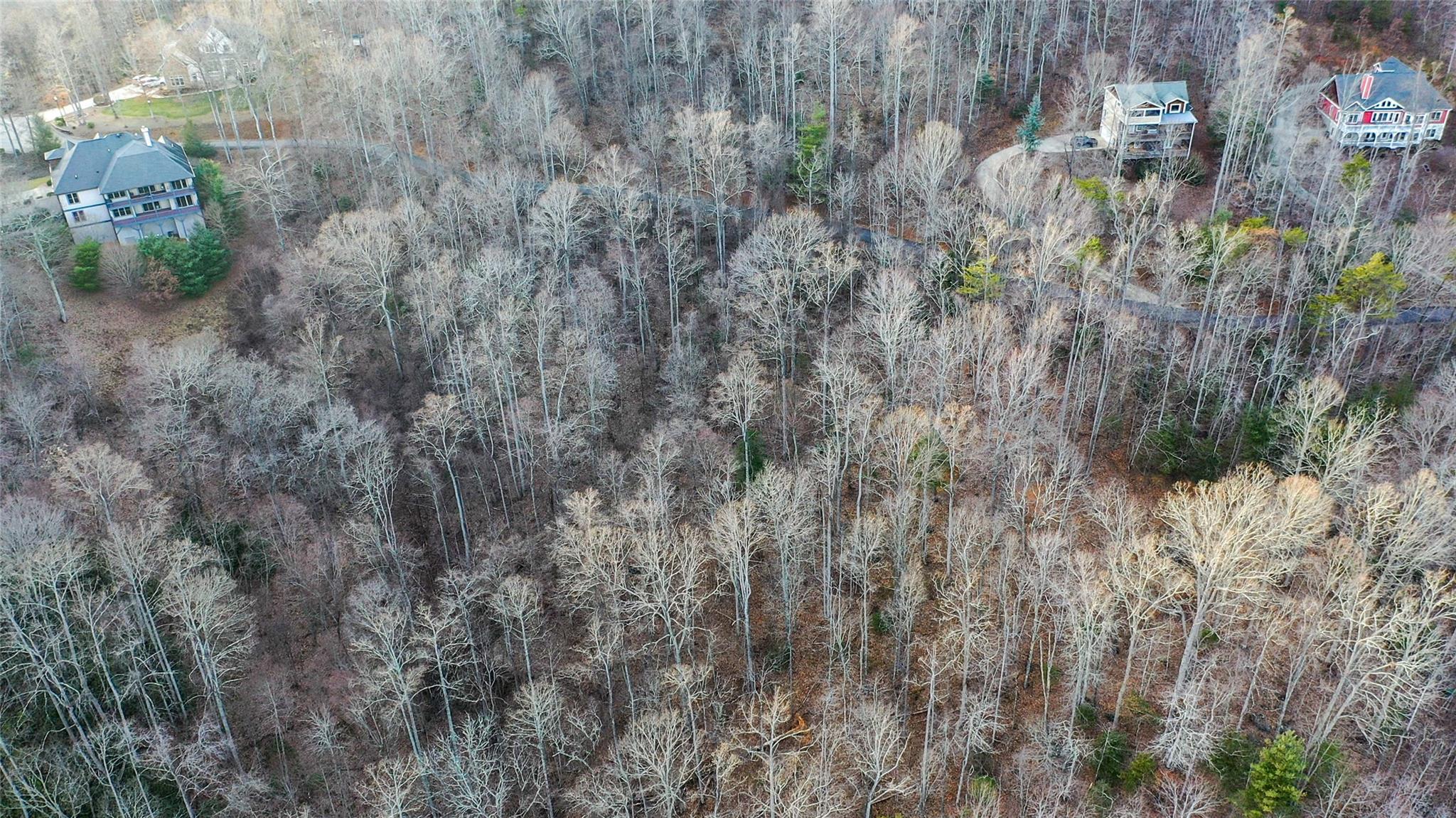 44 Hope View Road Swannanoa, NC 28778 - Photo 5 of 11 a view of a house with a lush green forest