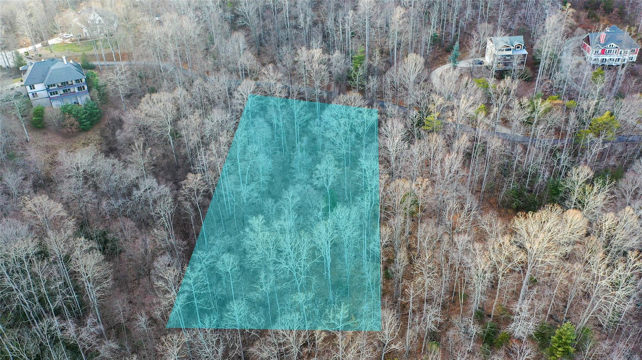 44 Hope View Road Swannanoa, NC 28778 - Photo 6 of 11 a view of a yard