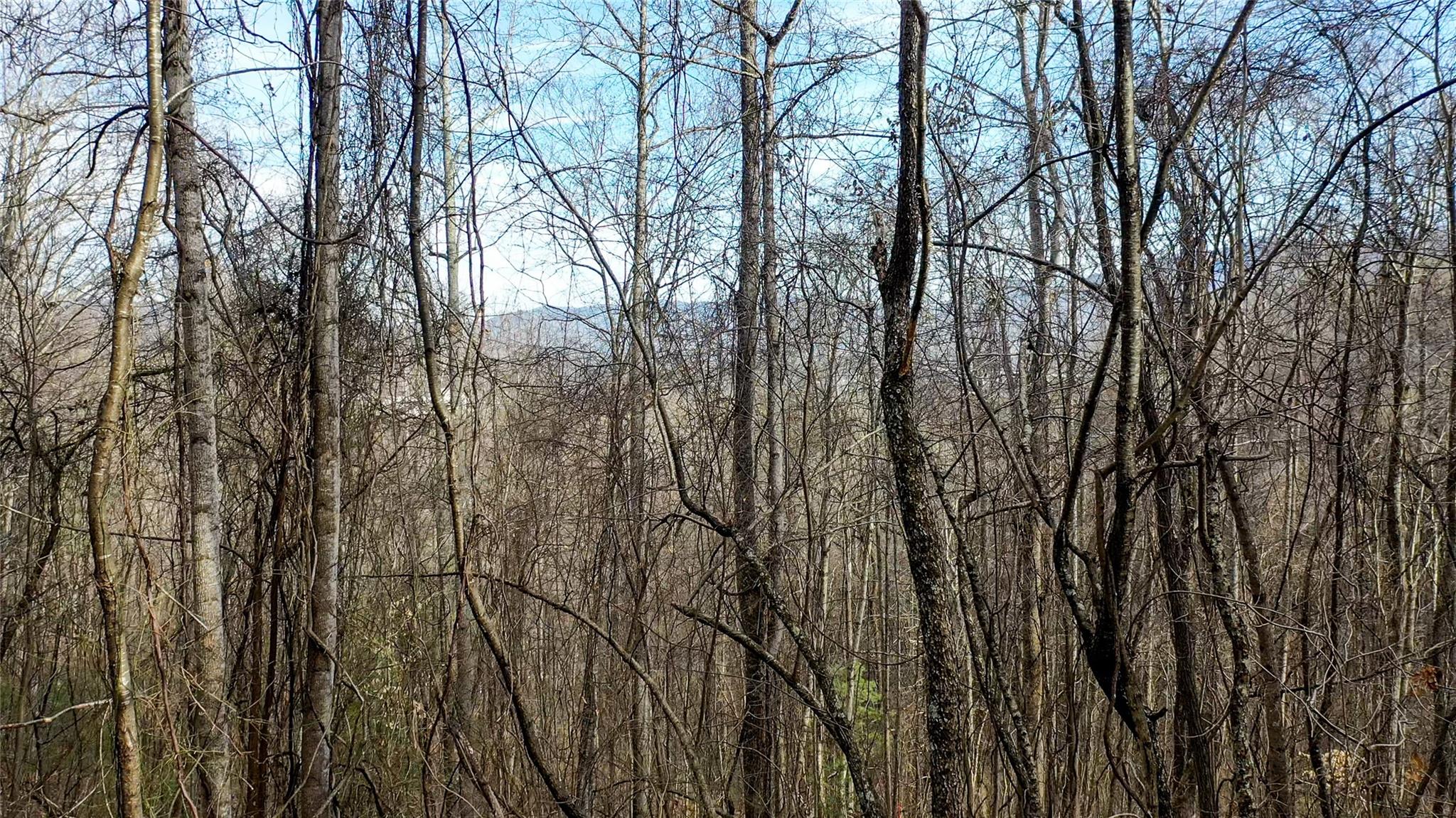 44 Hope View Road Swannanoa, NC 28778 - Photo 10 of 11