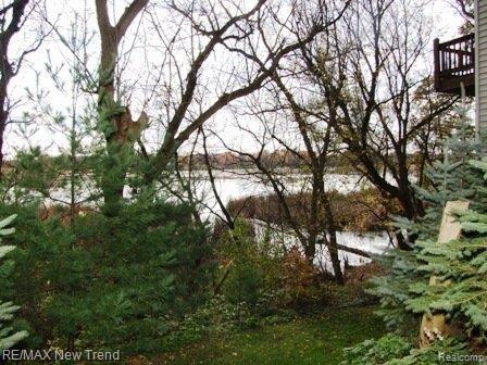 7244 Bishop Road Brighton, MI 48116 - Photo 21 of 25 View of Lake from side of home