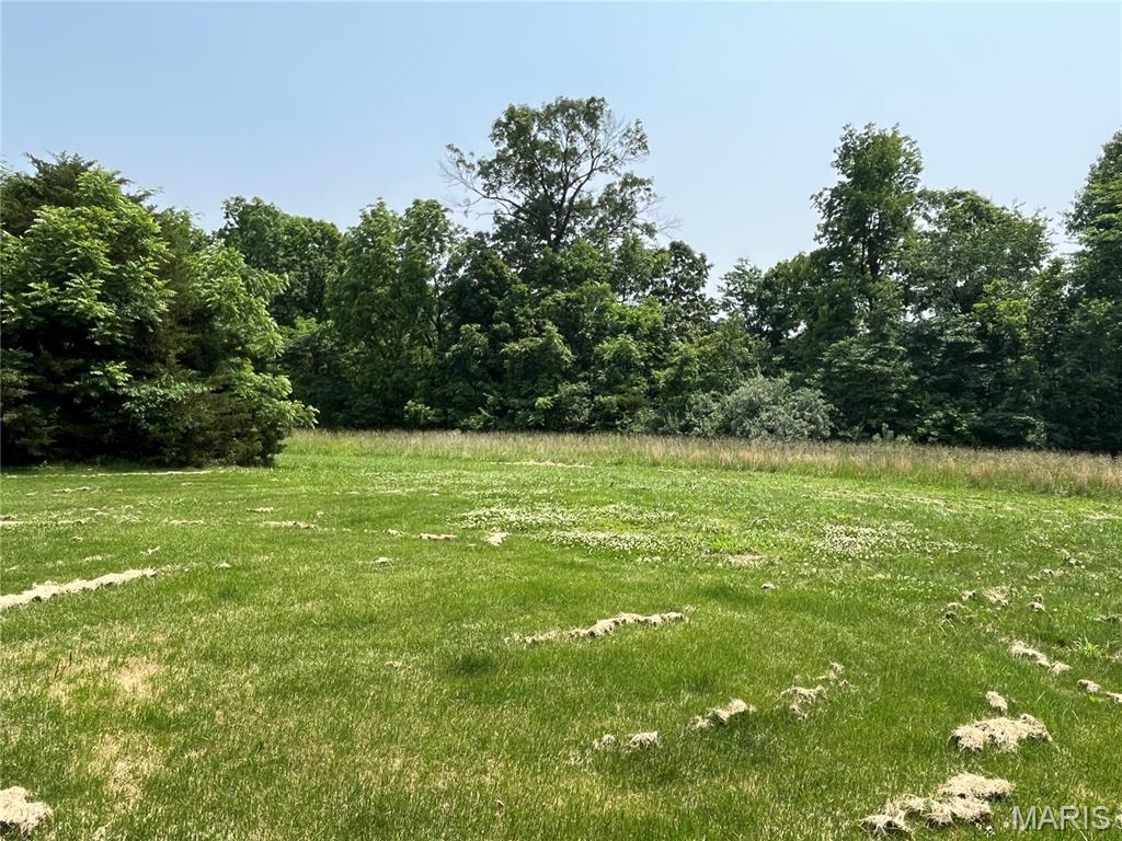 42 Davis Road Troy, MO 63379 - Photo 3 of 16