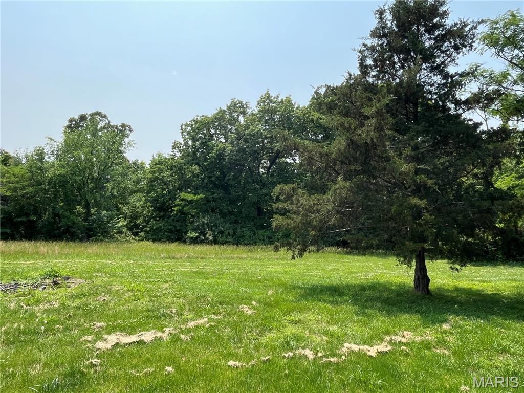 42 Davis Road Troy, MO 63379 - Photo 4 of 16