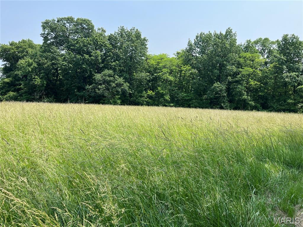 42 Davis Road Troy, MO 63379 - Photo 5 of 16