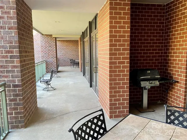 a view of a yard with plants