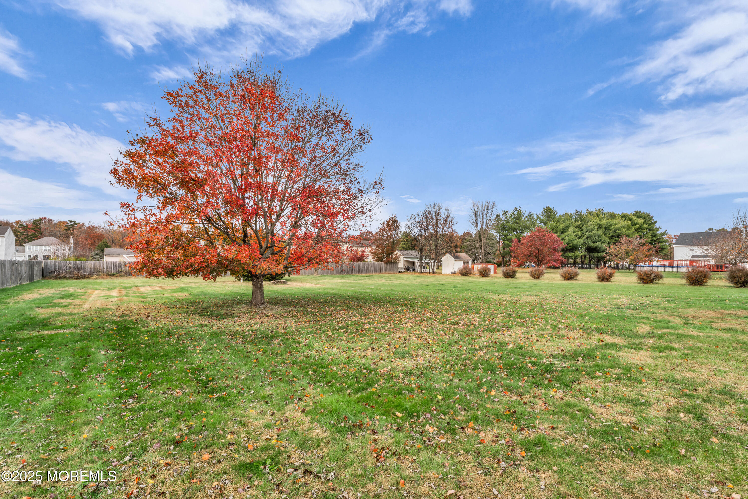 6 Hummingbird Way Jackson, NJ 08527 - Photo 27 of 39 a view of field with tall trees