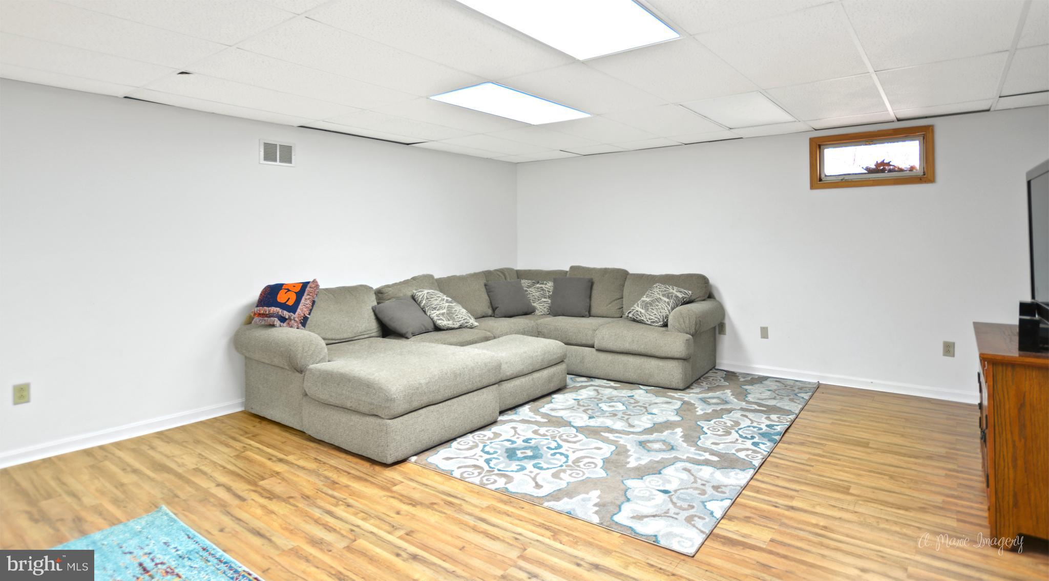 12267 Big Pool Road Clear Spring, MD 21722 - Photo 22 of 30 Family Room Lower Level