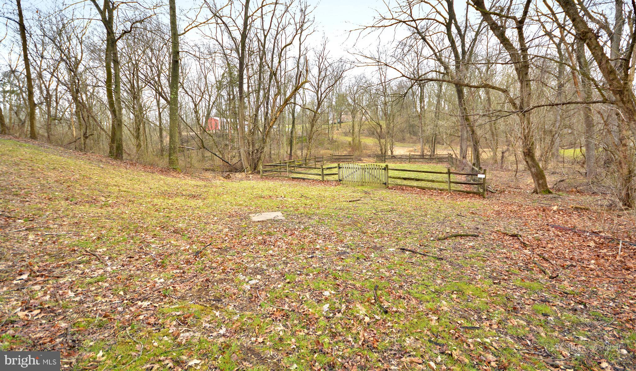 12267 Big Pool Road Clear Spring, MD 21722 - Photo 29 of 30 Fenced in Area for your pets