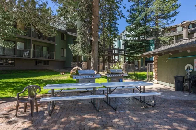 a view of a backyard with chairs potted plants and a large tree