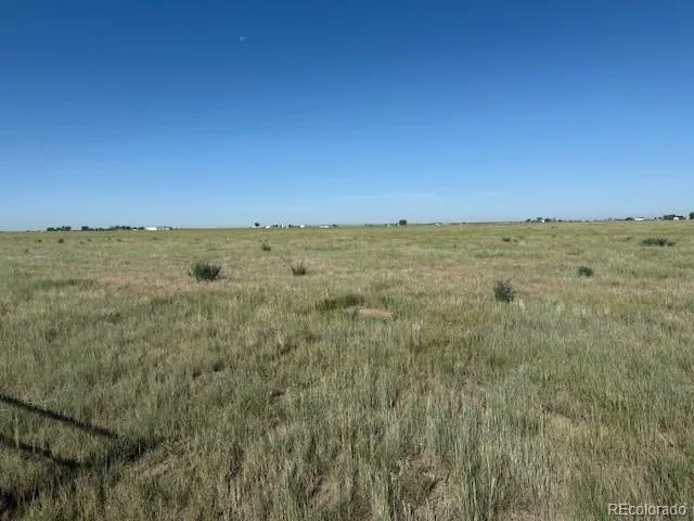 a view of a field with an ocean