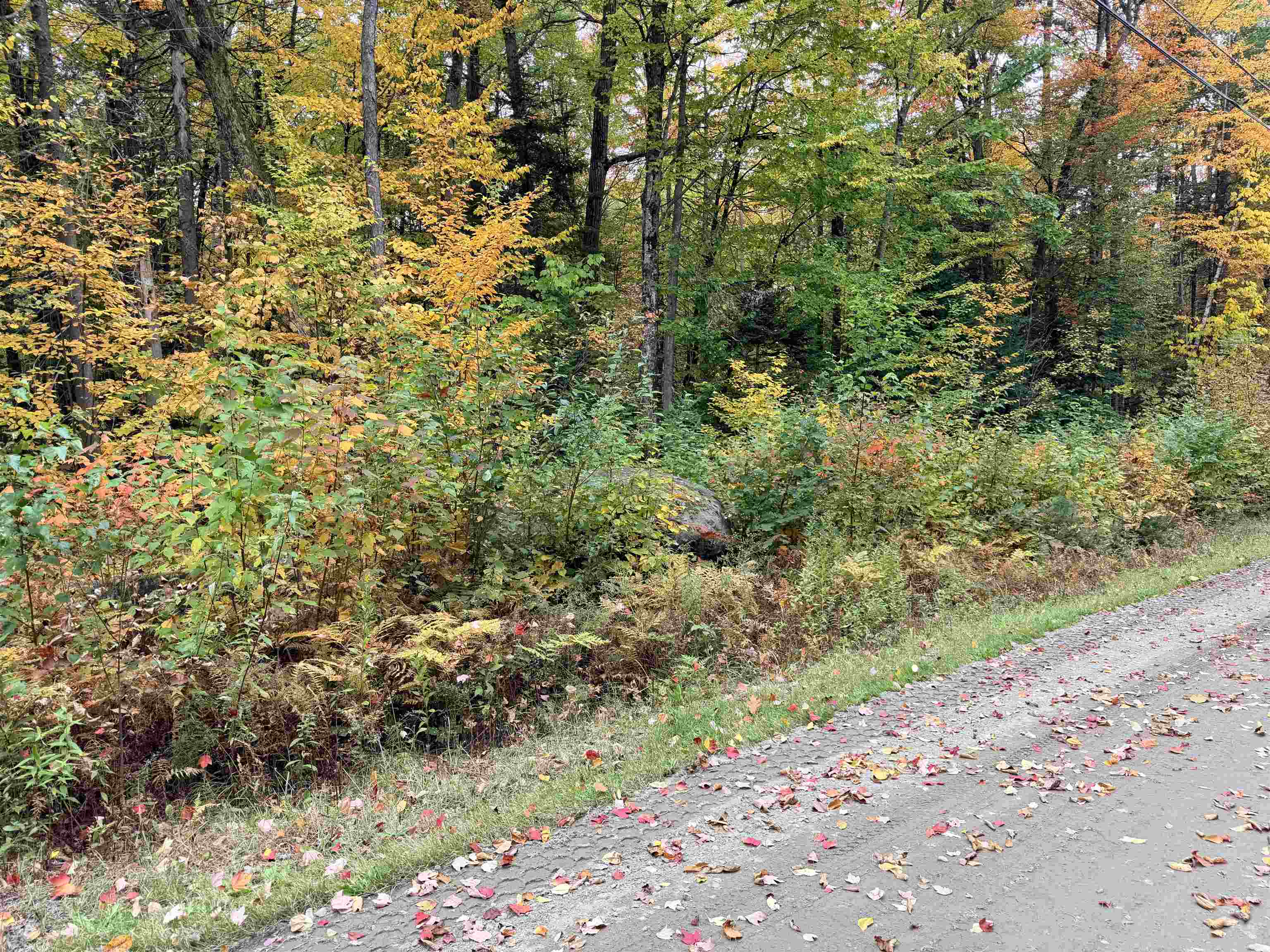 Lot 1 Mount Misery Road Littleton, NH 03561 - Photo 14 of 14 Gallery Image 14