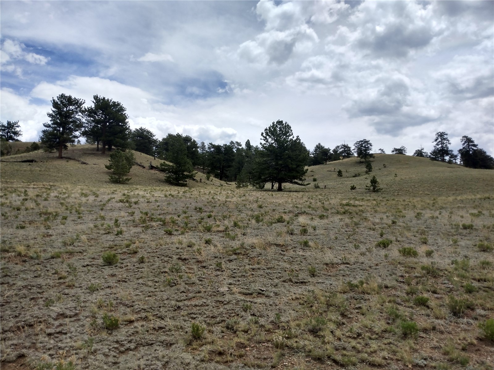 0 Kusha Road Hartsel, CO 80449 - Photo 9 of 9 Gallery Image 9