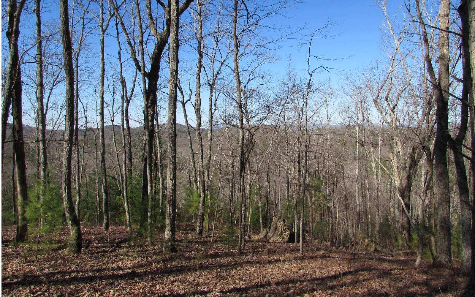 976 Raccoon Ridge Northeast Ranger, GA 30734 - Photo 1 of 4 Main View