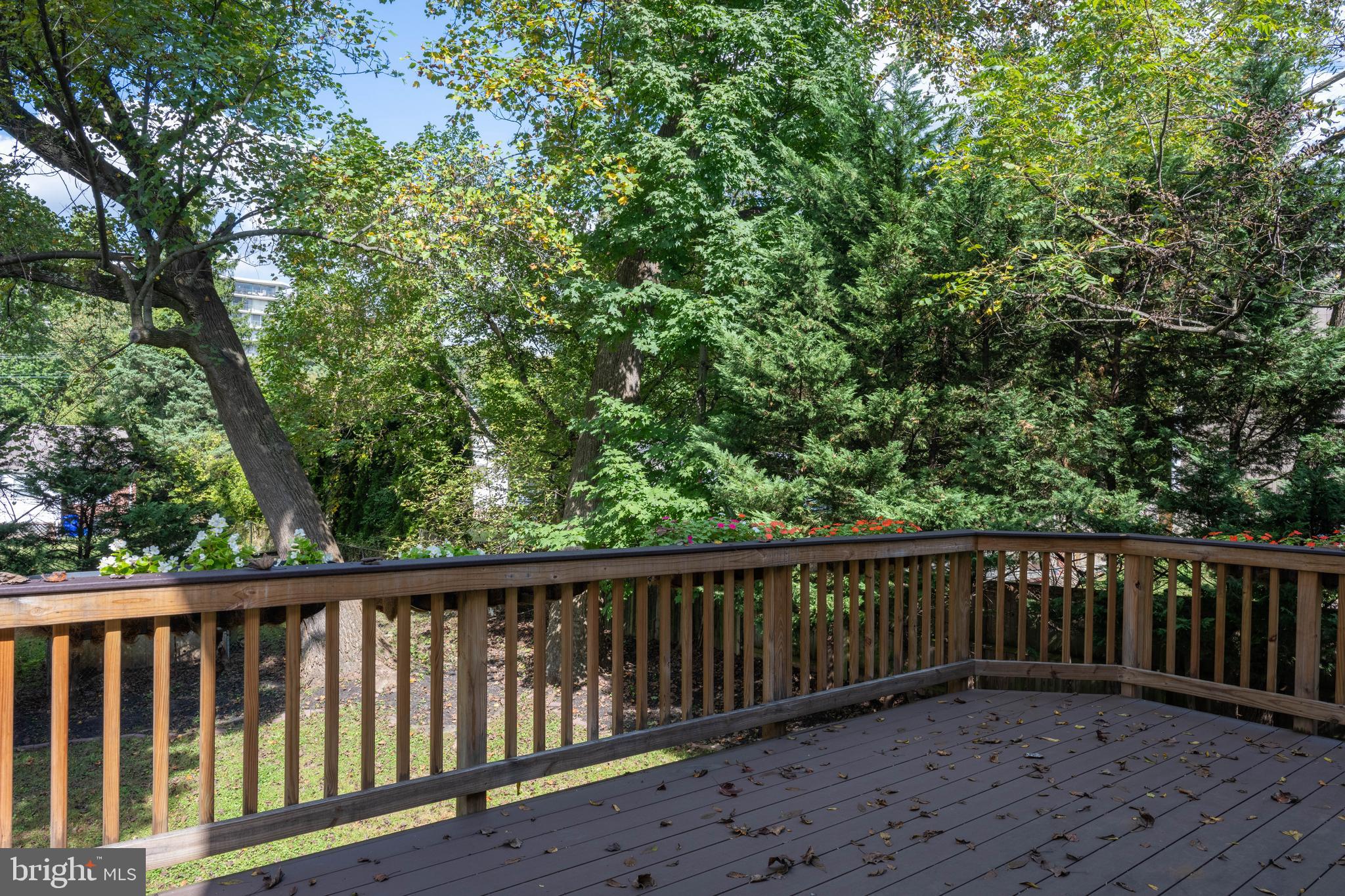 3303 Decatur Avenue Kensington, MD 20895 - Photo 79 of 94
