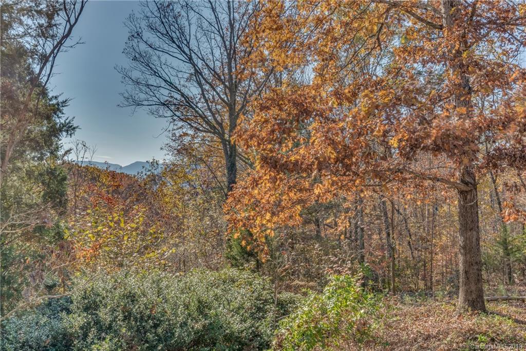 1500 Lynn Road Tryon, NC 28782 - Photo 26 of 28 Gallery Image 26