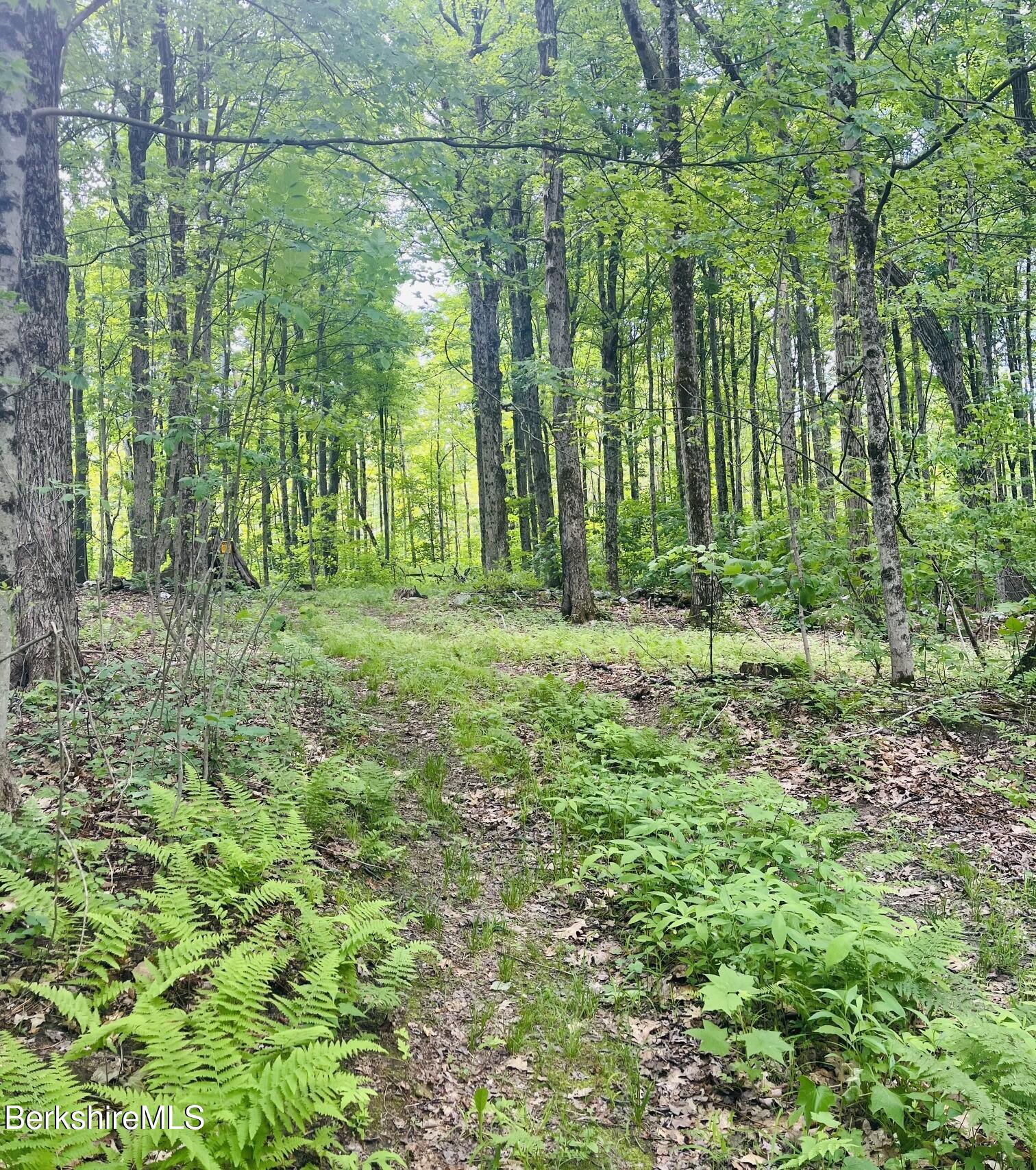 Lot 0 Greylock Estates Road Lanesborough, MA 01237 - Photo 4 of 5 PIc 3