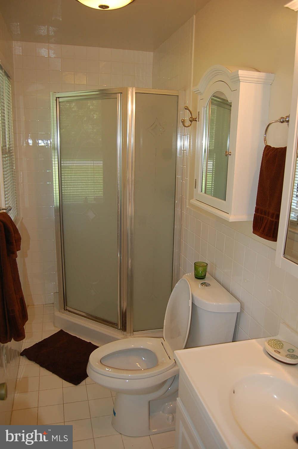 18428 Kingshill Road Germantown, MD 20874 - Photo 15 of 30 Bath (Master)