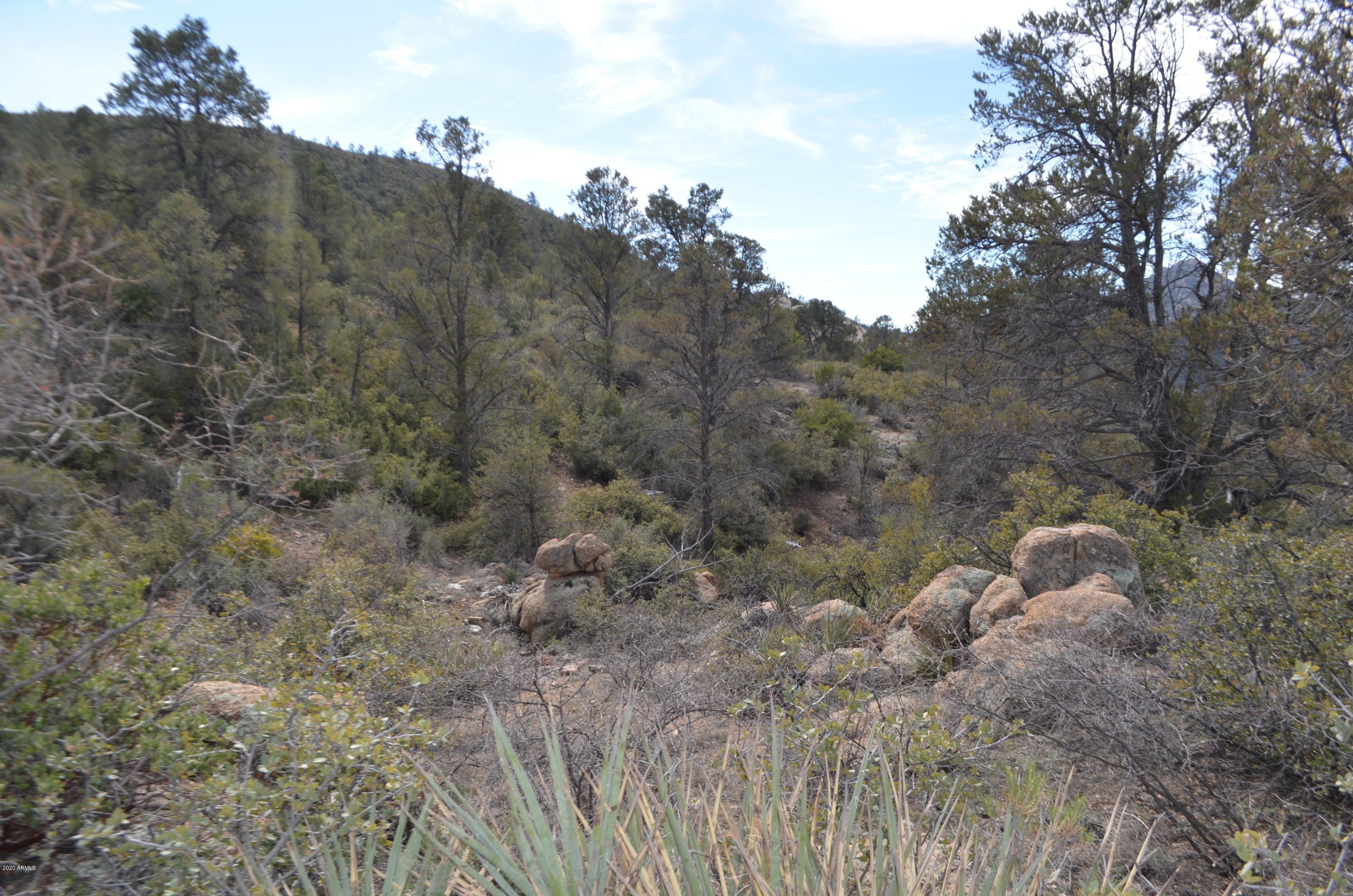 Lot 118 Ruger Ranch, Unit 118A Kirkland, AZ 86332 - Photo 17 of 41 DSC_2477