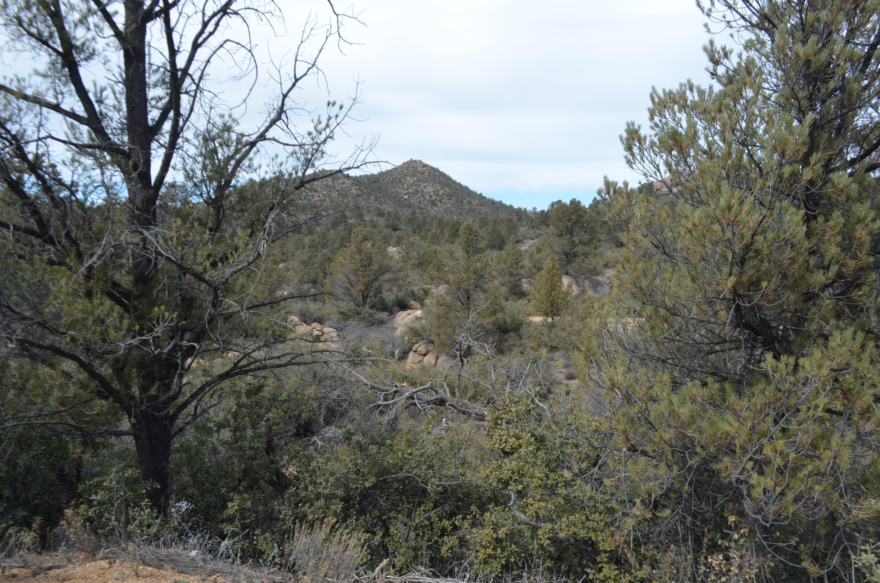 Lot 118 Ruger Ranch, Unit 118A Kirkland, AZ 86332 - Photo 18 of 41 DSC_2479