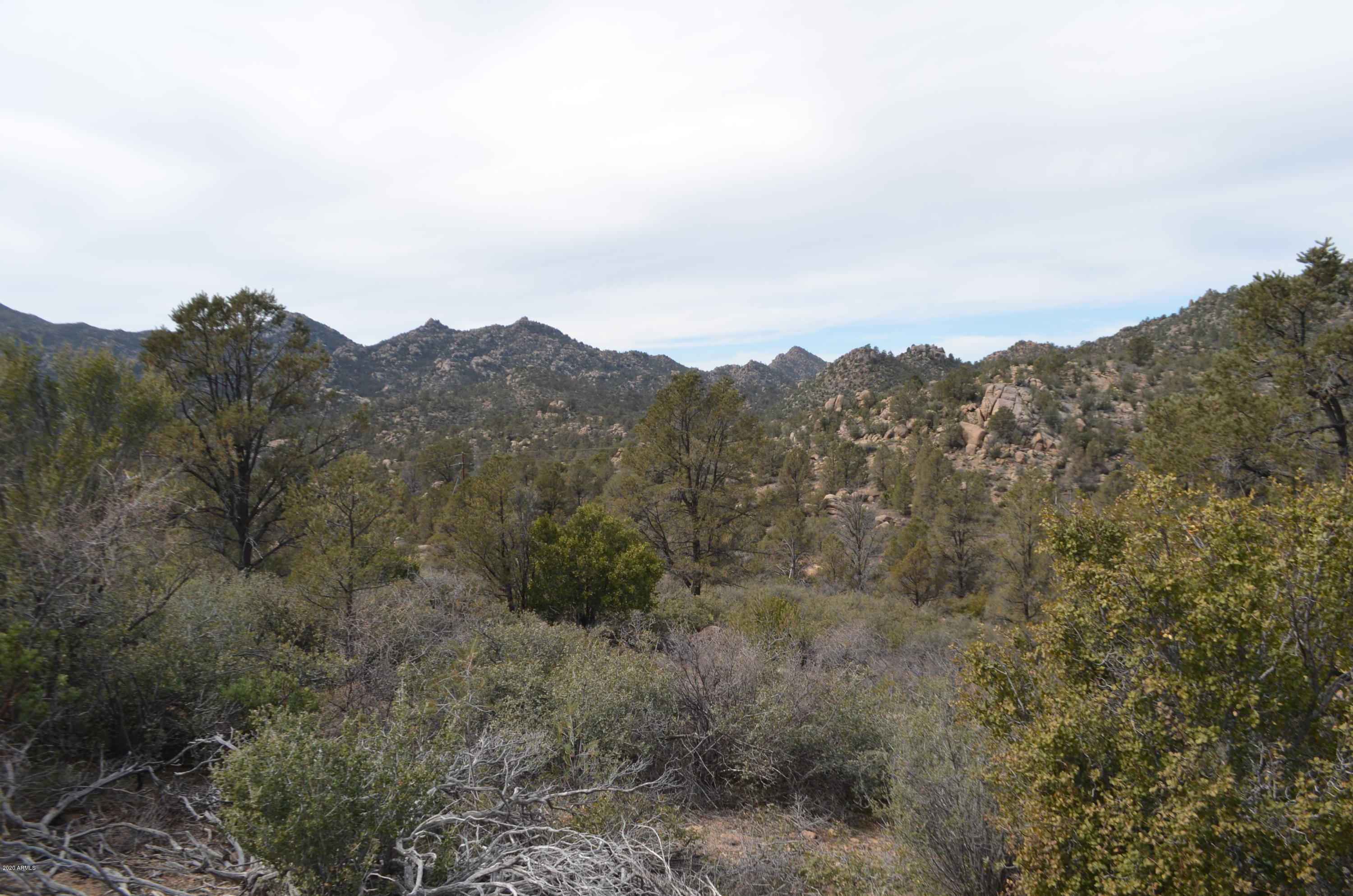 Lot 118 Ruger Ranch, Unit 118A Kirkland, AZ 86332 - Photo 19 of 41 DSC_2480