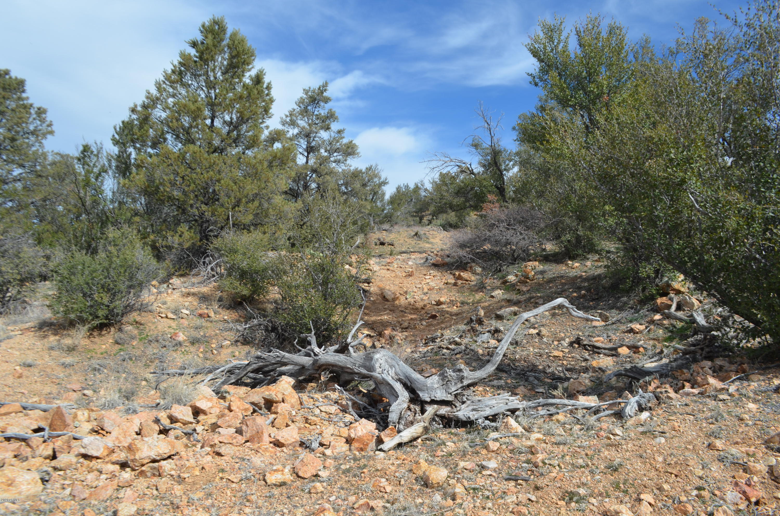 Lot 118 Ruger Ranch, Unit 118A Kirkland, AZ 86332 - Photo 2 of 41 DSC_2487