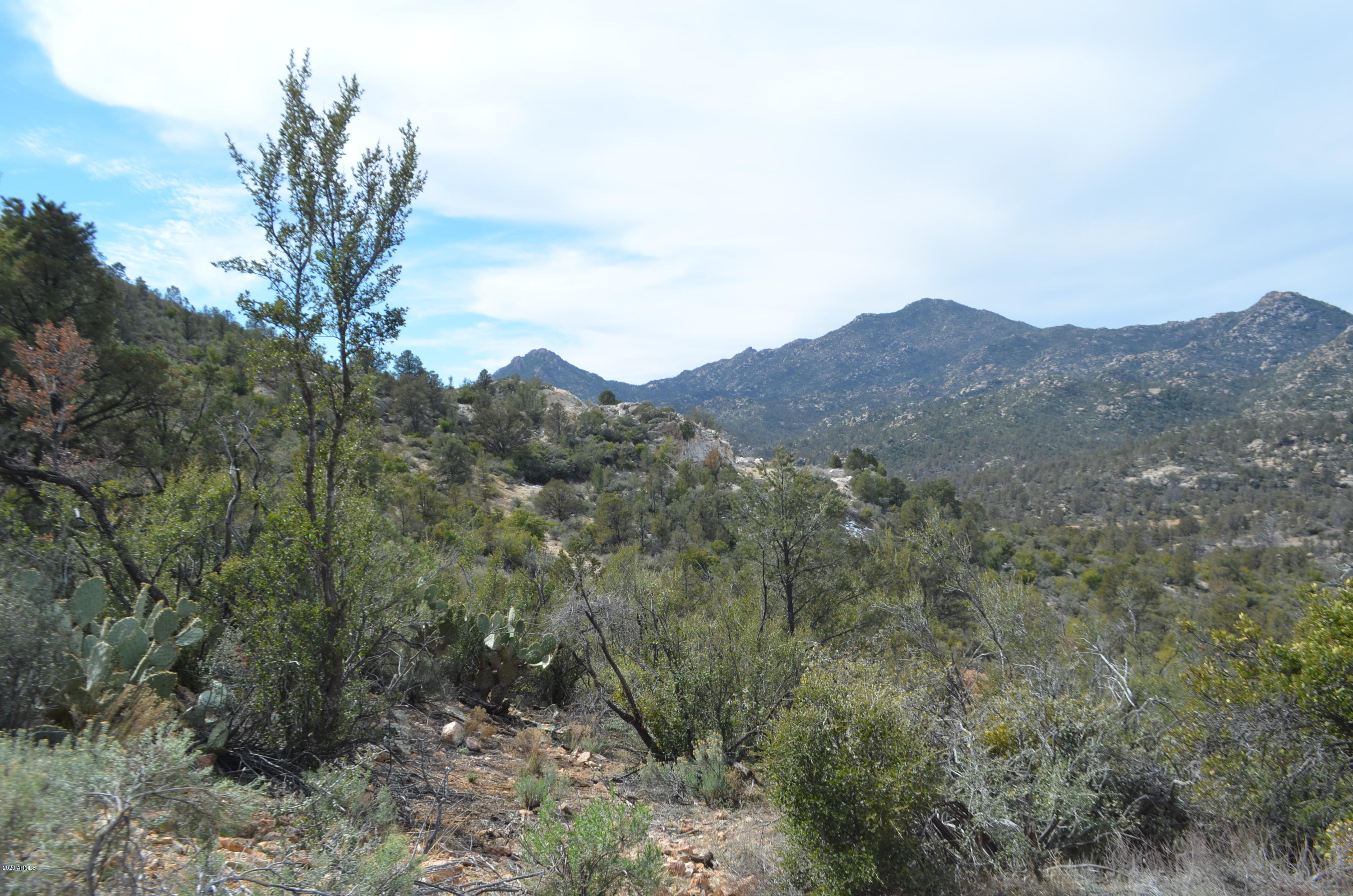 Lot 118 Ruger Ranch, Unit 118A Kirkland, AZ 86332 - Photo 21 of 41 DSC_2485