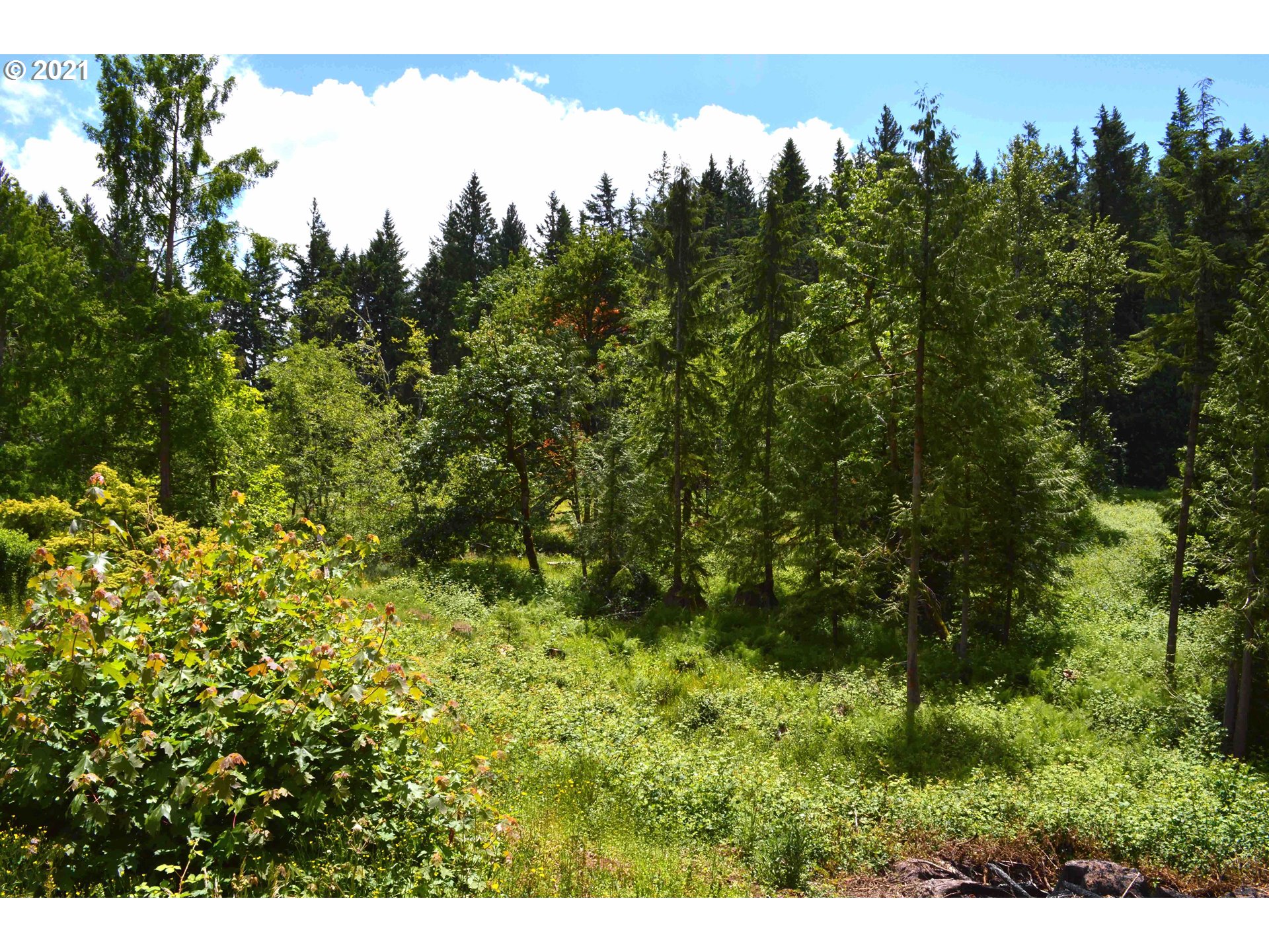 35008 Southeast Gunderson Road Sandy, OR 97055 - Photo 2 of 29