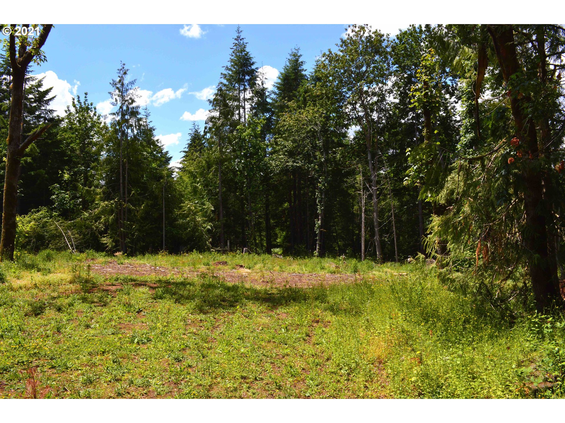 35008 Southeast Gunderson Road Sandy, OR 97055 - Photo 5 of 29