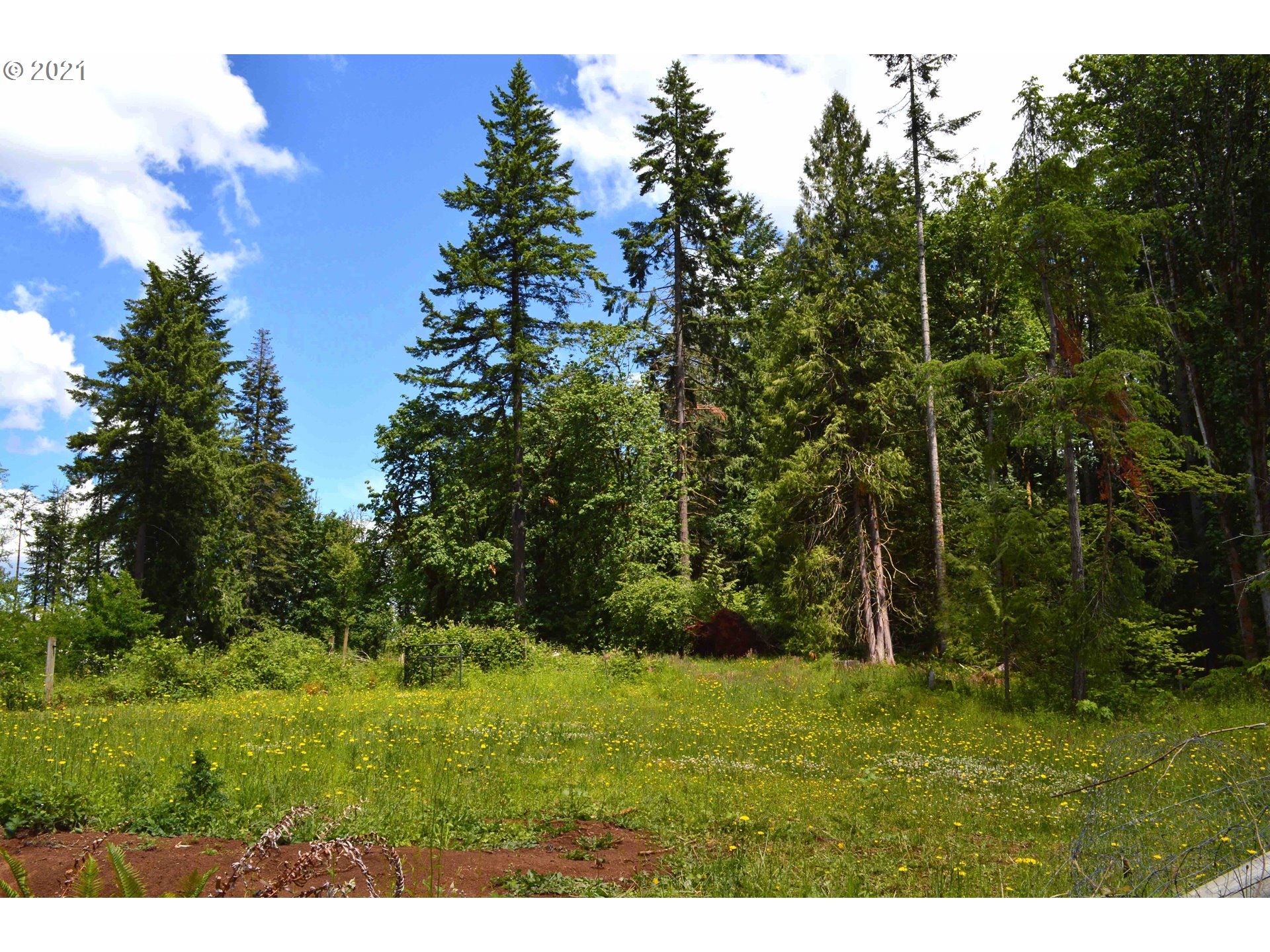 35008 Southeast Gunderson Road Sandy, OR 97055 - Photo 6 of 29