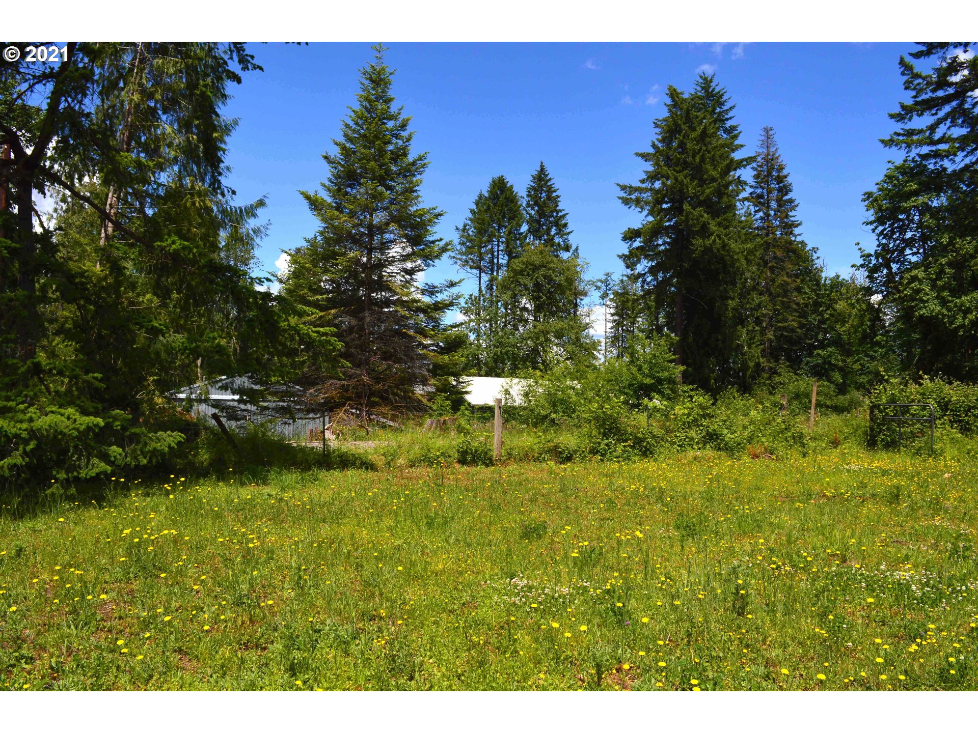 35008 Southeast Gunderson Road Sandy, OR 97055 - Photo 7 of 29
